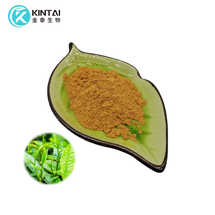 Green Tea Extract