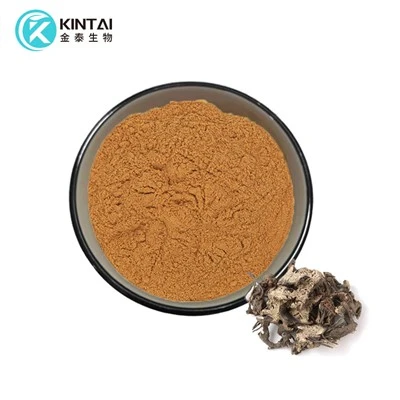 Экстракт корня черного кохоша