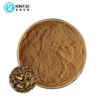 Порошок экстракта джимнемы